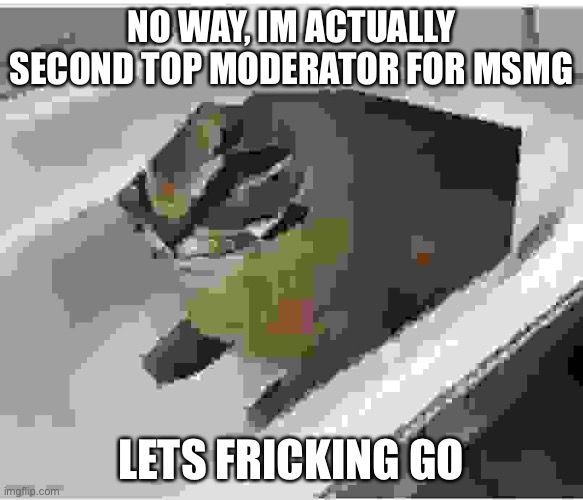 low quality floppa | NO WAY, IM ACTUALLY SECOND TOP MODERATOR FOR MSMG; LETS FRICKING GO | image tagged in low quality floppa | made w/ Imgflip meme maker