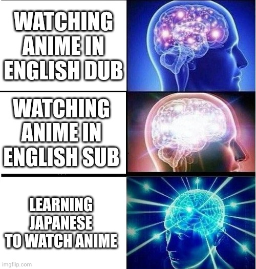 Expanding brain 3 panels | WATCHING ANIME IN ENGLISH DUB; WATCHING ANIME IN ENGLISH SUB; LEARNING JAPANESE TO WATCH ANIME | image tagged in expanding brain 3 panels,anime meme | made w/ Imgflip meme maker