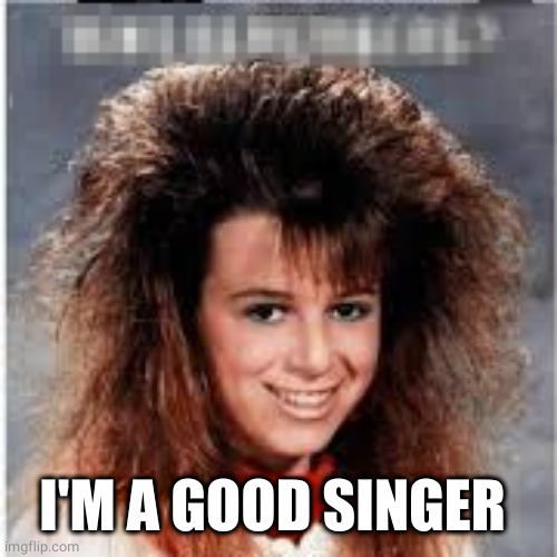 Big Hair | I'M A GOOD SINGER | image tagged in big hair | made w/ Imgflip meme maker