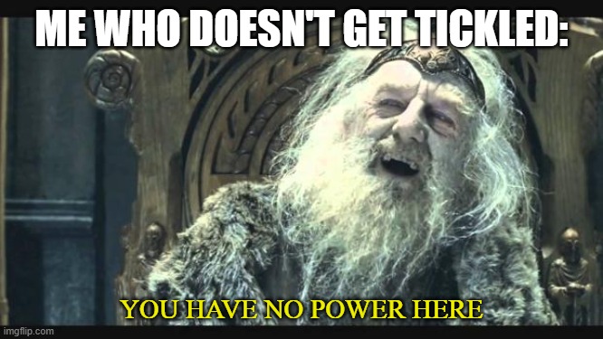 ME WHO DOESN'T GET TICKLED: YOU HAVE NO POWER HERE | image tagged in you have no power here | made w/ Imgflip meme maker