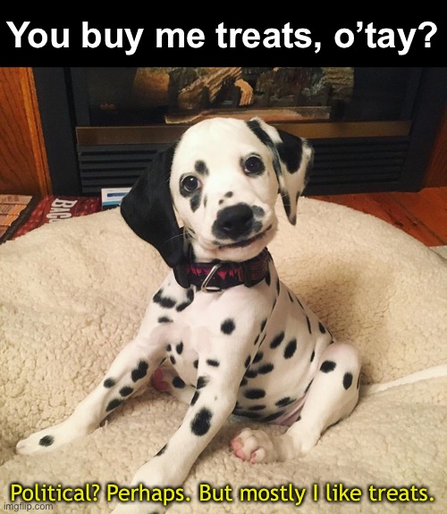 You buy me treats, o’tay? Political? Perhaps. But mostly I like treats. | made w/ Imgflip meme maker