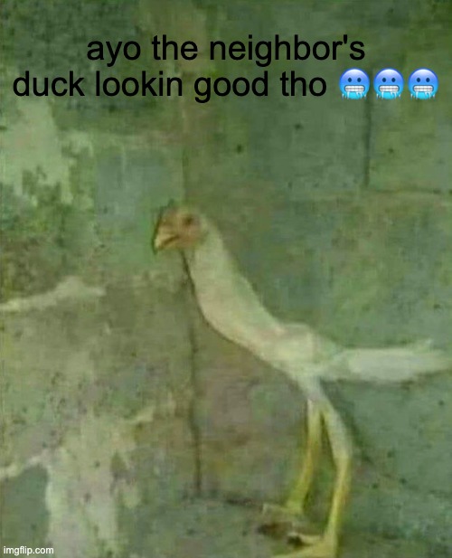 That posture ??? |  ayo the neighbor's duck lookin good tho 🥶🥶🥶 | image tagged in memes,funny,animal,animal meme,sus,drip | made w/ Imgflip meme maker