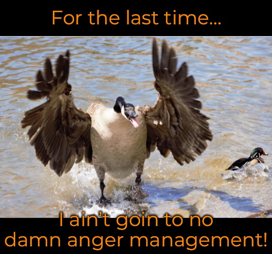 For the last time… I ain’t goin to no damn anger management! | made w/ Imgflip meme maker
