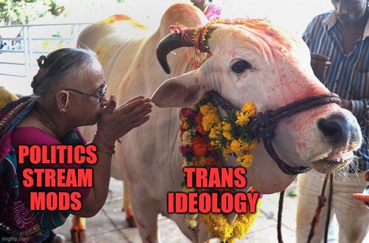 Do not speak any criticisms whatsoever of their sacred cow… | TRANS IDEOLOGY; POLITICS
STREAM
MODS | image tagged in sacred cow | made w/ Imgflip meme maker