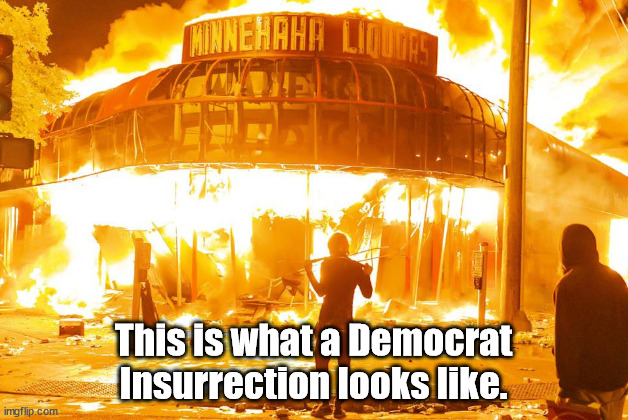 As the Worm Turns- This is what a Democrat Insurrection looks like. | This is what a Democrat Insurrection looks like. | image tagged in memes,politics | made w/ Imgflip meme maker