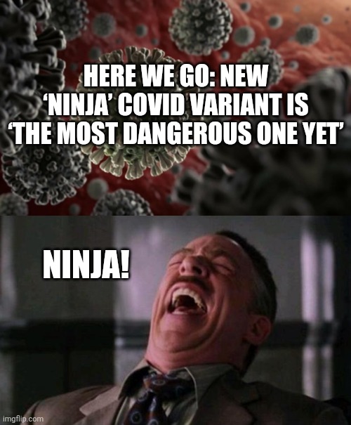 They're just making this shit up. | HERE WE GO: NEW ‘NINJA’ COVID VARIANT IS ‘THE MOST DANGEROUS ONE YET’; NINJA! | image tagged in memes | made w/ Imgflip meme maker