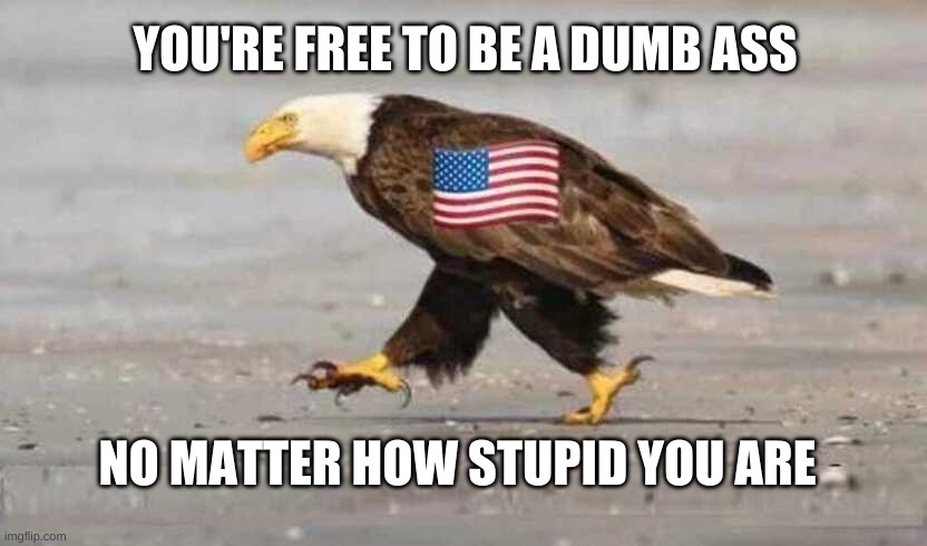 A fool has an opinion exclusively his own that shows his foolishness to the entire world. | YOU'RE FREE TO BE A DUMB ASS; NO MATTER HOW STUPID YOU ARE | image tagged in unique,fools,you fool you fell victim to one of the classic blunders,freedom,unpopular | made w/ Imgflip meme maker