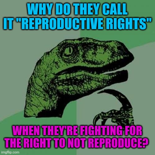 More like anti-reproductive rights | WHY DO THEY CALL IT "REPRODUCTIVE RIGHTS"; WHEN THEY'RE FIGHTING FOR THE RIGHT TO NOT REPRODUCE? | image tagged in memes,philosoraptor | made w/ Imgflip meme maker