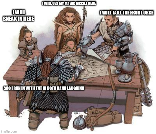 DND Party | I WILL USE MY MAGIC MISSLE HERE; I WILL TAKE THE FRONT ORGE; I WILL SNEAK IN HERE; SOO I RUN IN WITH TNT IN BOTH HAND LAUGHING | image tagged in dnd party | made w/ Imgflip meme maker