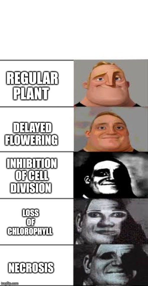 REGULAR PLANT; DELAYED FLOWERING; INHIBITION OF CELL DIVISION; LOSS OF CHLOROPHYLL; NECROSIS | made w/ Imgflip meme maker