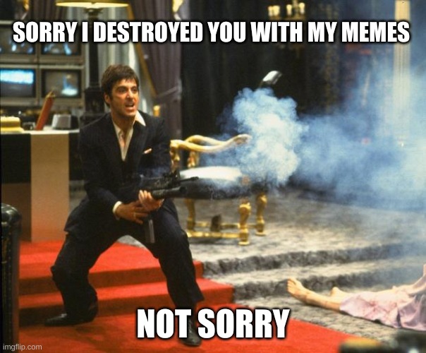 Not Sorry | SORRY I DESTROYED YOU WITH MY MEMES; NOT SORRY | image tagged in sorry not sorry,splish splash your opinion is trash,it's time to start asking yourself the big questions meme | made w/ Imgflip meme maker