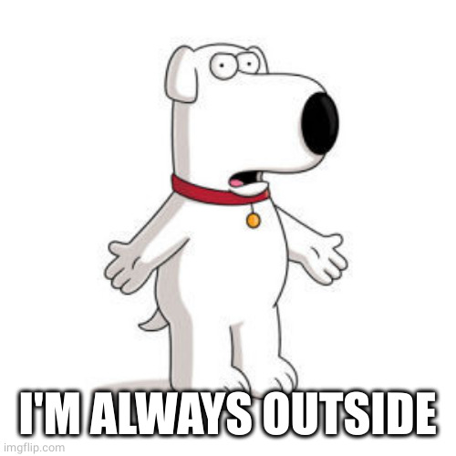 Family Guy Brian Meme | I'M ALWAYS OUTSIDE | image tagged in memes,family guy brian | made w/ Imgflip meme maker