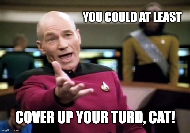 startrek | YOU COULD AT LEAST COVER UP YOUR TURD, CAT! | image tagged in startrek | made w/ Imgflip meme maker