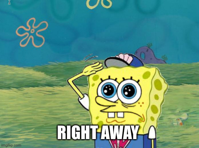 Spongebob salute | RIGHT AWAY | image tagged in spongebob salute | made w/ Imgflip meme maker