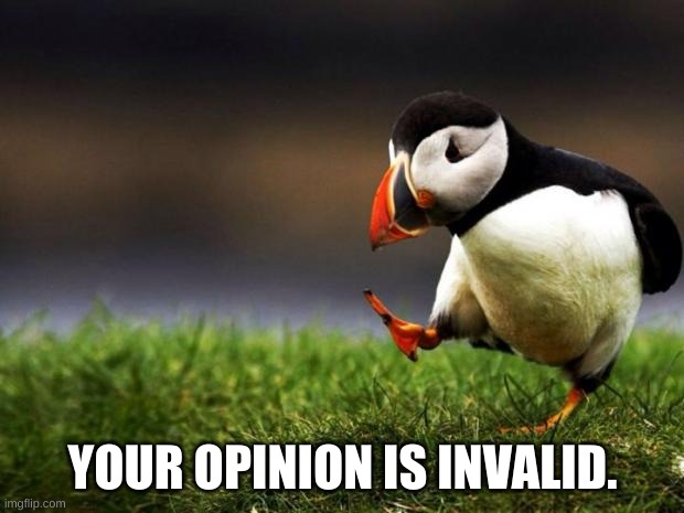 Unpopular Opinion Puffin Meme | YOUR OPINION IS INVALID. | image tagged in memes,unpopular opinion puffin | made w/ Imgflip meme maker