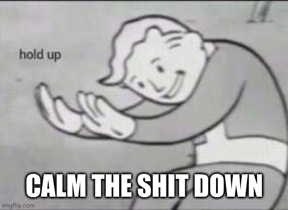 Fallout Hold Up | CALM THE SHIT DOWN | image tagged in fallout hold up | made w/ Imgflip meme maker