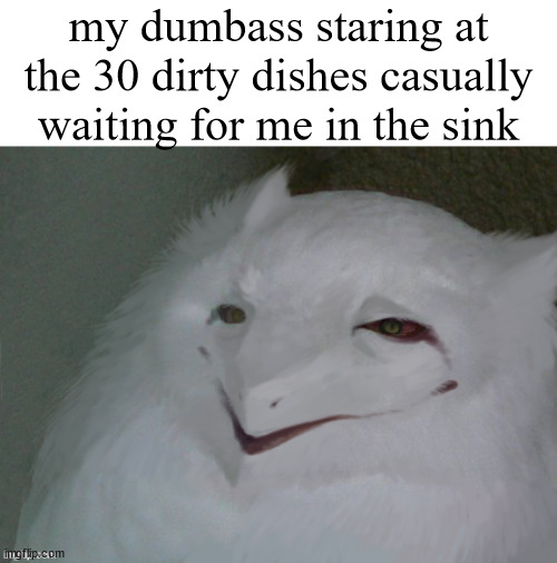 huh | my dumbass staring at the 30 dirty dishes casually waiting for me in the sink | image tagged in a literal egg | made w/ Imgflip meme maker