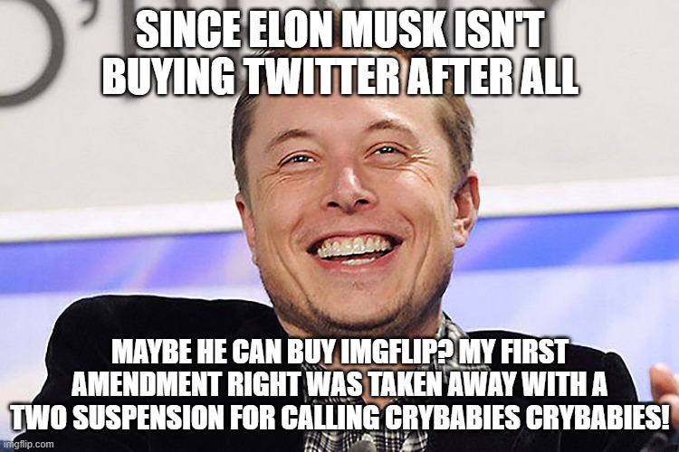 Elon musk | SINCE ELON MUSK ISN'T BUYING TWITTER AFTER ALL; MAYBE HE CAN BUY IMGFLIP? MY FIRST AMENDMENT RIGHT WAS TAKEN AWAY WITH A TWO SUSPENSION FOR CALLING CRYBABIES CRYBABIES! | image tagged in elon musk | made w/ Imgflip meme maker