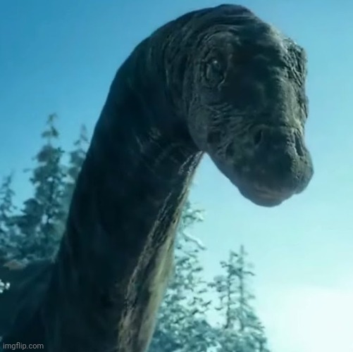 Apatosaurus | image tagged in apatosaurus | made w/ Imgflip meme maker