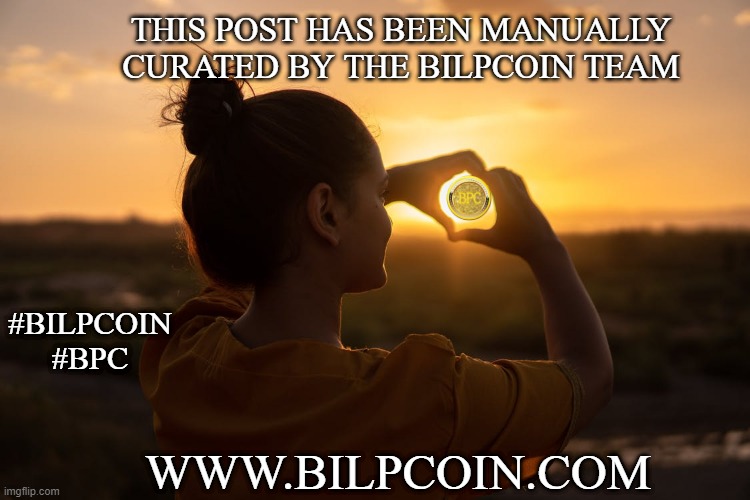 THIS POST HAS BEEN MANUALLY CURATED BY THE BILPCOIN TEAM; #BILPCOIN #BPC; WWW.BILPCOIN.COM | made w/ Imgflip meme maker