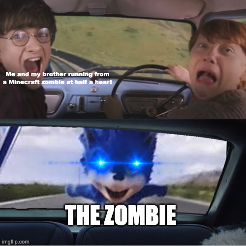 minecraft | Me and my brother running from a Minecraft zombie at half a heart; THE ZOMBIE | image tagged in sonic chasing harry and ron,minecraft,memes | made w/ Imgflip meme maker