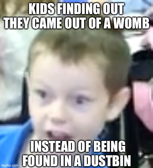 True or not true for you? | KIDS FINDING OUT THEY CAME OUT OF A WOMB; INSTEAD OF BEING FOUND IN A DUSTBIN | image tagged in usa boy,relatable,shocked face,funny | made w/ Imgflip meme maker