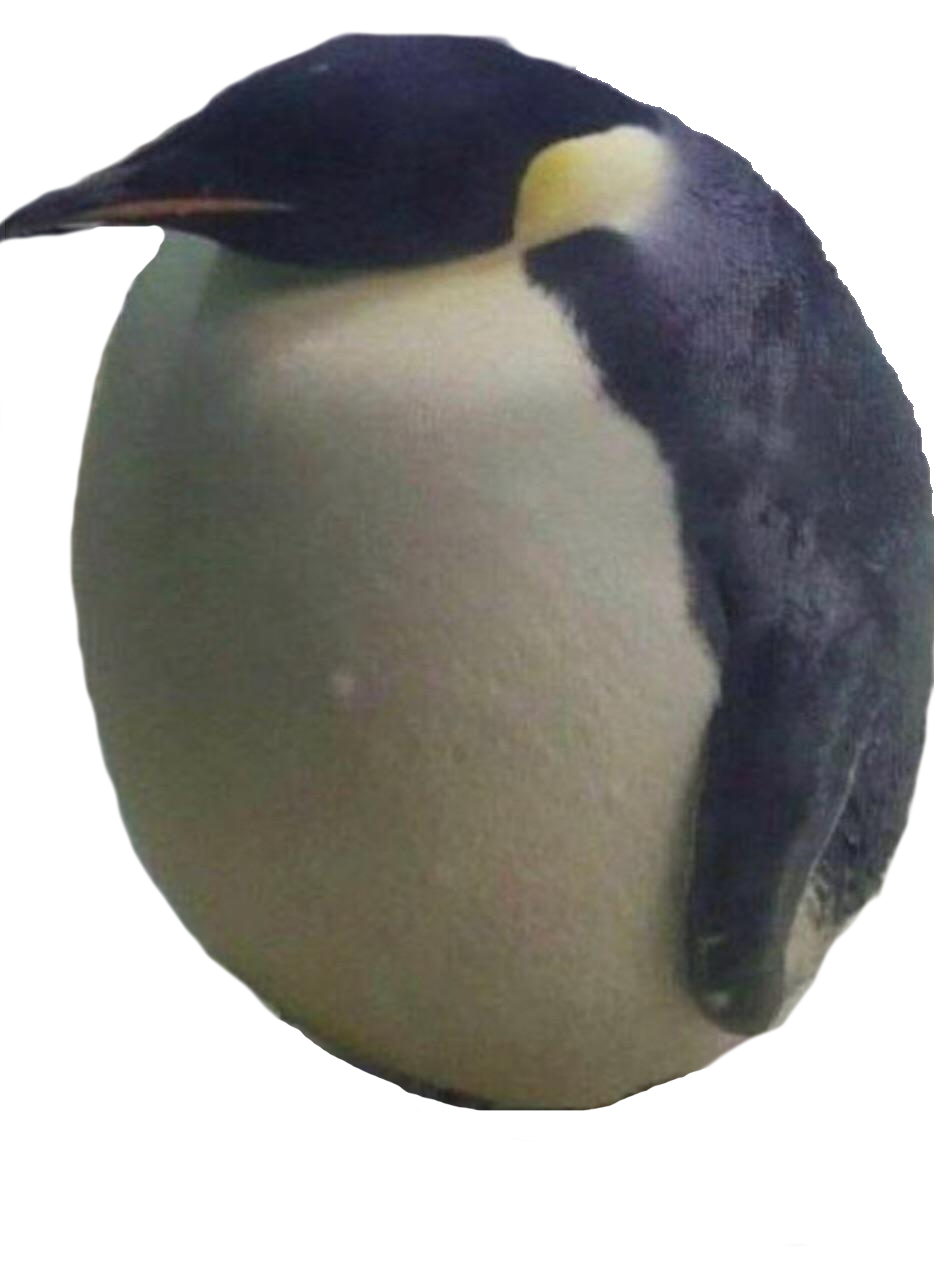 pingu let himself go Blank Meme Template