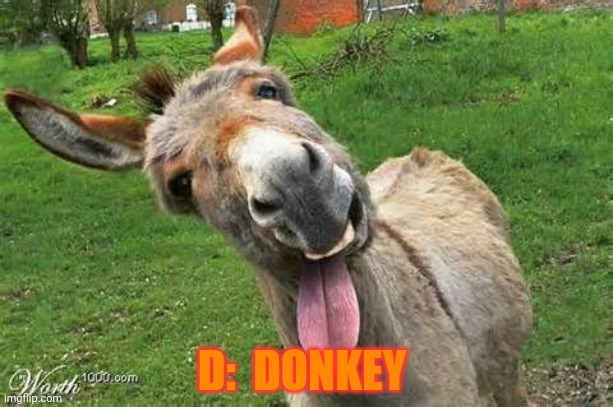 Laughing Donkey | D:  DONKEY | image tagged in laughing donkey | made w/ Imgflip meme maker