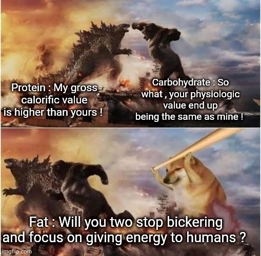 Carbohydrate : So what , your physiologic value end up being the same as mine ! Protein : My gross calorific value is higher than yours ! Fat : Will you two stop bickering and focus on giving energy to humans ? | made w/ Imgflip meme maker