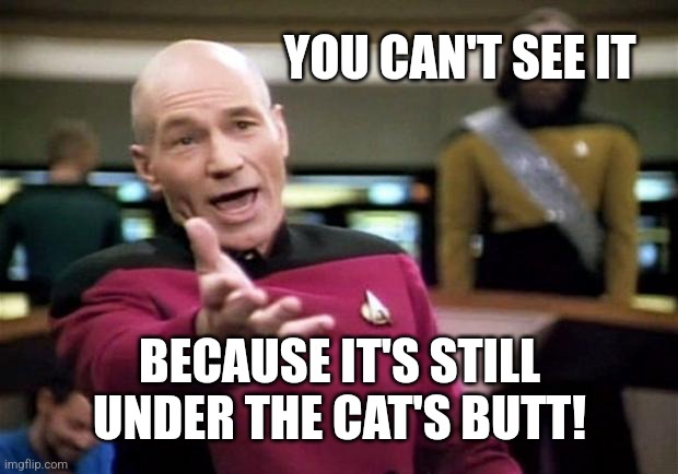 startrek | YOU CAN'T SEE IT BECAUSE IT'S STILL UNDER THE CAT'S BUTT! | image tagged in startrek | made w/ Imgflip meme maker