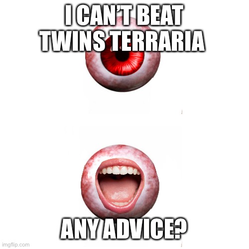 I play terraria  and I need to beat twins | I CAN’T BEAT TWINS TERRARIA; ANY ADVICE? | image tagged in real twins terraria,terraria | made w/ Imgflip meme maker