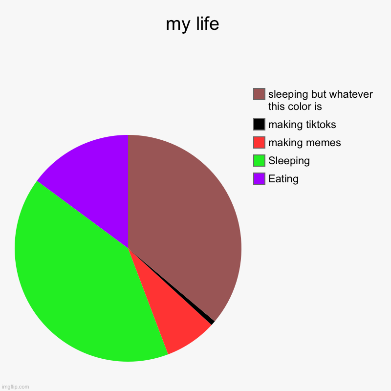 my life | Eating, Sleeping, making memes, making tiktoks, sleeping but whatever this color is | image tagged in charts,pie charts | made w/ Imgflip chart maker