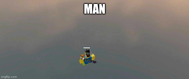 *Insert funny title here* | MAN | image tagged in memes | made w/ Imgflip meme maker