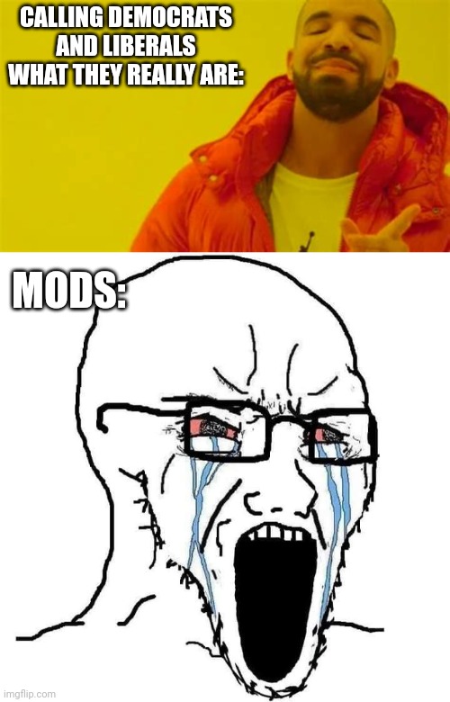 "you can't do that, it hurts or feelings" | CALLING DEMOCRATS AND LIBERALS WHAT THEY REALLY ARE:; MODS: | image tagged in drake approving,crying wojak,politics lol,crying democrats,crying liberals | made w/ Imgflip meme maker