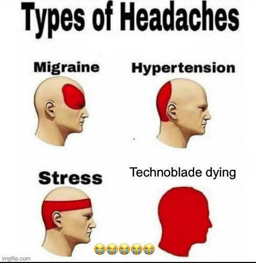 Types of Headaches meme | Technoblade dying; 😭😭😭😭😭 | image tagged in types of headaches meme | made w/ Imgflip meme maker