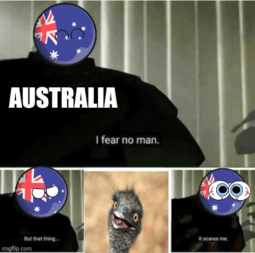 Australian emu war be like | AUSTRALIA | image tagged in i fear no man,emu,australia | made w/ Imgflip meme maker