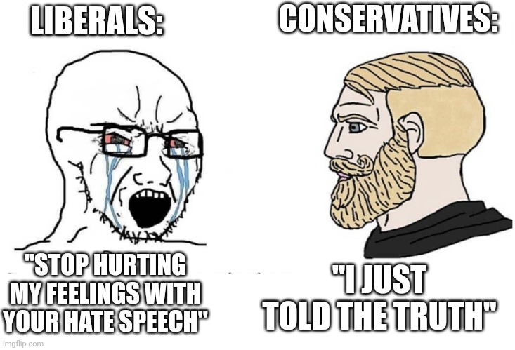 I can't even put this in politics because the mods would cry | LIBERALS:; CONSERVATIVES:; "STOP HURTING MY FEELINGS WITH YOUR HATE SPEECH"; "I JUST TOLD THE TRUTH" | image tagged in soyboy vs yes chad,liberals,conservatives | made w/ Imgflip meme maker