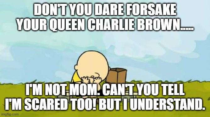 Depressed Charlie Brown | DON'T YOU DARE FORSAKE YOUR QUEEN CHARLIE BROWN..... I'M NOT MOM. CAN'T YOU TELL I'M SCARED TOO! BUT I UNDERSTAND. | image tagged in depressed charlie brown | made w/ Imgflip meme maker