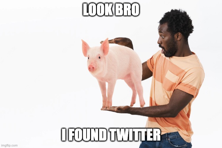 HE FOUND TWITTER OMGGGG | LOOK BRO; I FOUND TWITTER | image tagged in twitter,no way,omg | made w/ Imgflip meme maker