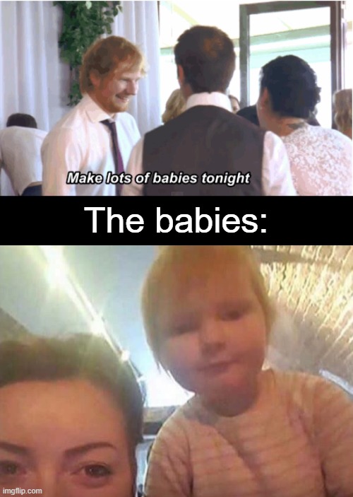 The babies: | image tagged in make lots of babies tonight | made w/ Imgflip meme maker