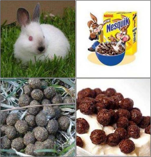 Spot The Difference ? | image tagged in spot the difference,rabbits,droppings,cereal | made w/ Imgflip meme maker