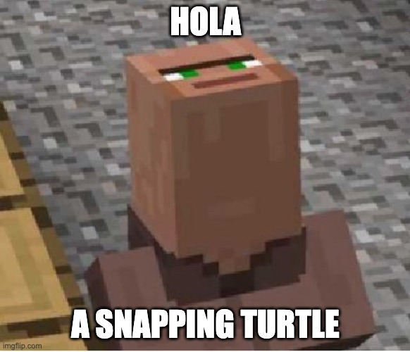 original | HOLA; A SNAPPING TURTLE | image tagged in minecraft villager looking up | made w/ Imgflip meme maker
