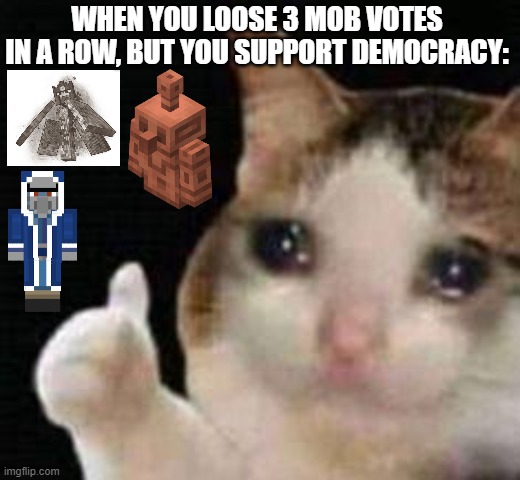 At least the glow squid gave us glowing signs. I really like those. | WHEN YOU LOOSE 3 MOB VOTES IN A ROW, BUT YOU SUPPORT DEMOCRACY: | image tagged in approved crying cat,minecraft,democracy,memes | made w/ Imgflip meme maker