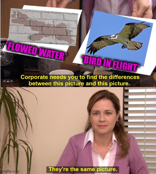 -Liquid feather. | *FLOWED WATER*; *BIRD IN FLIGHT* | image tagged in memes,they're the same picture,water bottle,flight attendant,the floor is,flying spaghetti monster | made w/ Imgflip meme maker