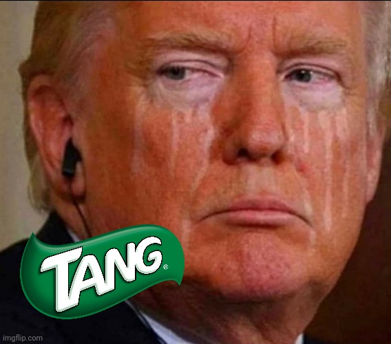 Crying Donald Trump | image tagged in crying donald trump | made w/ Imgflip meme maker