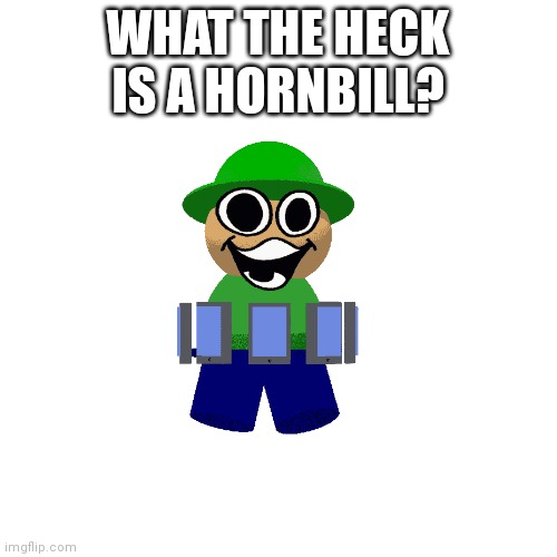 Blank Transparent Square Meme | WHAT THE HECK IS A HORNBILL? | image tagged in memes,blank transparent square | made w/ Imgflip meme maker