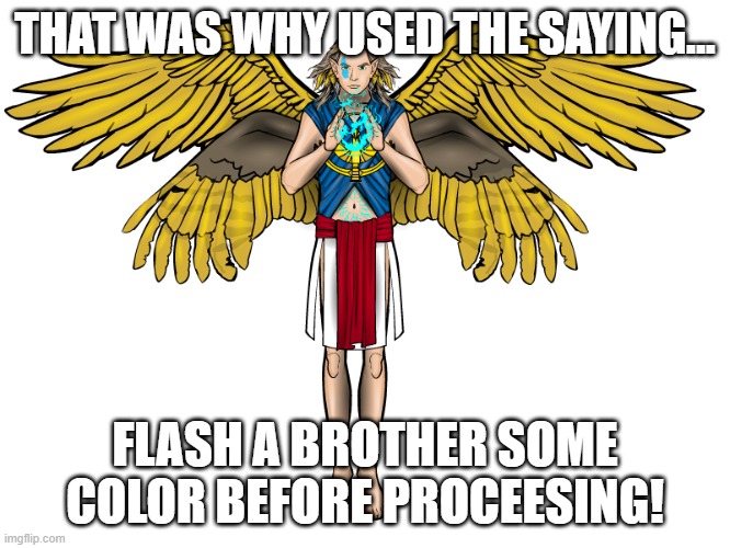 THAT WAS WHY USED THE SAYING... FLASH A BROTHER SOME COLOR BEFORE PROCEESING! | made w/ Imgflip meme maker