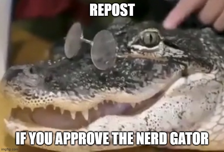 he a smart boi | REPOST; IF YOU APPROVE THE NERD GATOR | image tagged in smart gator,funny | made w/ Imgflip meme maker