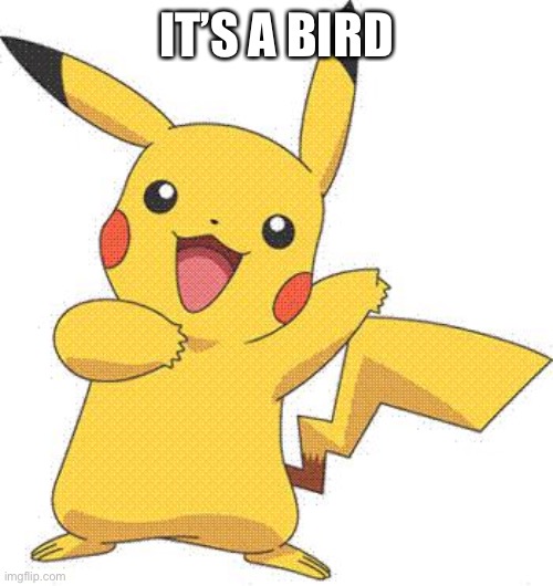 Pokemon | IT’S A BIRD | image tagged in pokemon | made w/ Imgflip meme maker