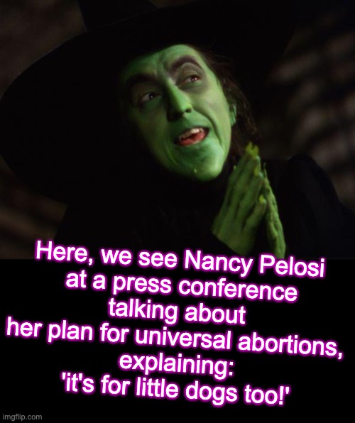 She left shortly afterwards, flying off to attend an auction of movie memorabilia -- including some sort of old red shoes. | Here, we see Nancy Pelosi
 at a press conference
talking about her plan for universal abortions,
 explaining:
 'it's for little dogs too!' | image tagged in wicked witch west,nancy pelosi | made w/ Imgflip meme maker